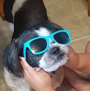 Meet your Posher, Hayley